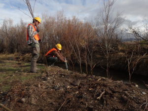 Planting trees at Modesty Creek