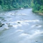 River News and Brews: 2019 Watershed Conservation Policy Debrief