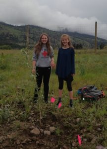 Girls planting trees