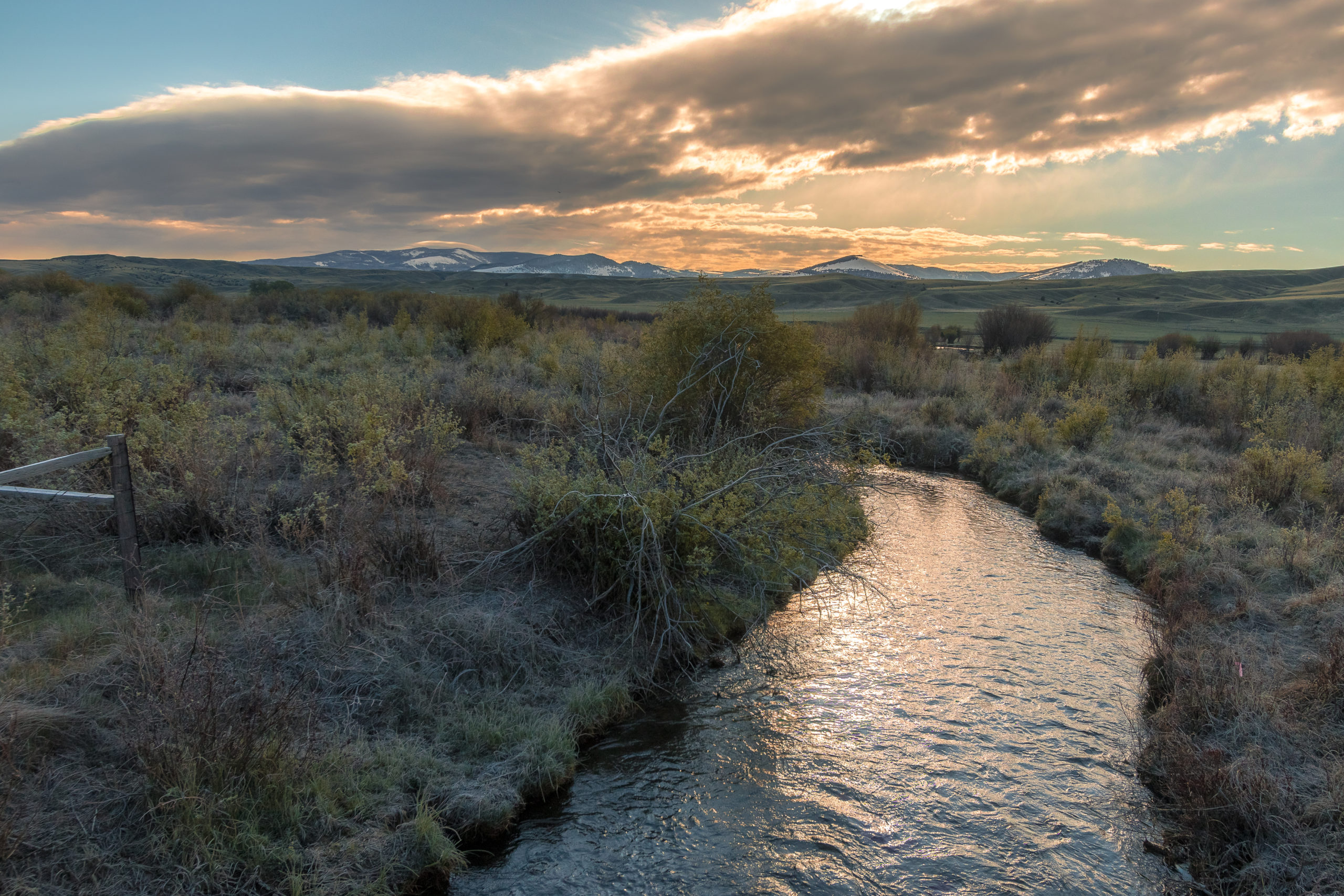 Attend an Event Clark Fork Coalition