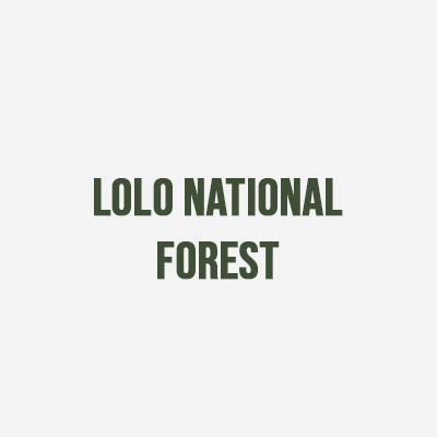 Lolo National Forest