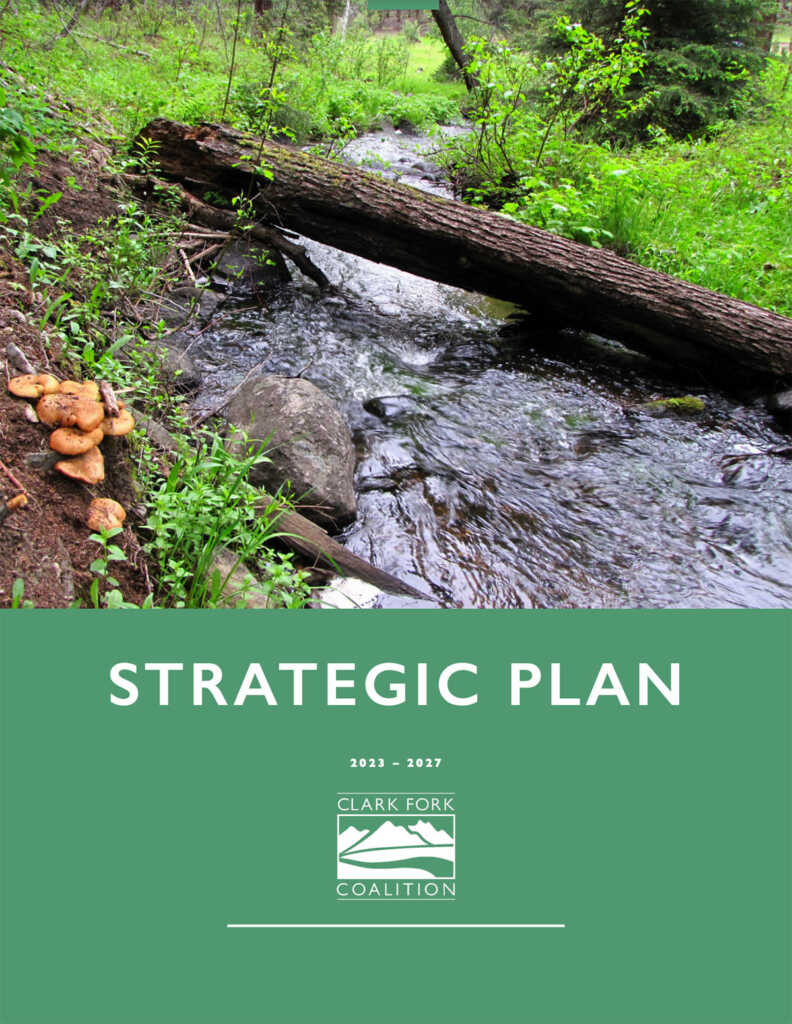 Current Strategic Plan Document